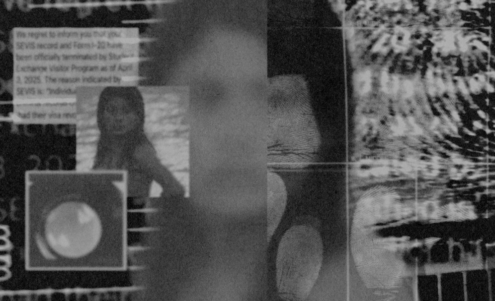 Visa terminations biometric tracking